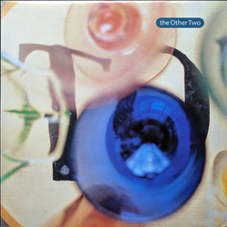The Other Two Tasty Fish Vinyl 12" USED