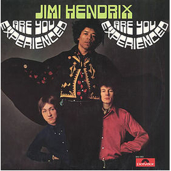 The Jimi Hendrix Experience Are You Experienced Vinyl LP USED