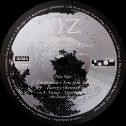 Various XYZ Vinyl 12" USED