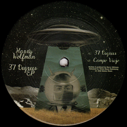 Harry Wolfman 37 Degrees Vinyl 12" USED