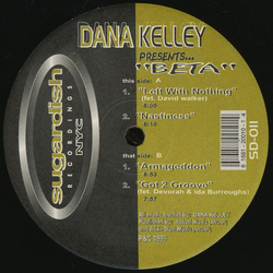 Dana Kelley Beta Vinyl 12" USED