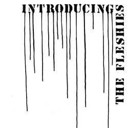 Fleshies Introducing The Fleshies Vinyl LP USED