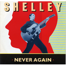 Pete Shelley Never Again Vinyl 12" USED