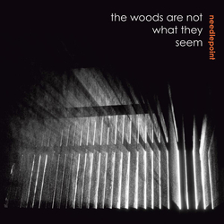 Needlepoint The Woods Are Not What They Seem Vinyl LP USED