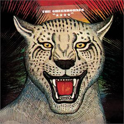 The Greenhornes "★★★★" Vinyl LP USED