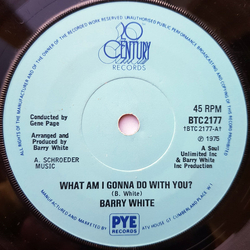 Barry White What Am I Gonna Do With You? Vinyl 7" USED