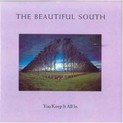 The Beautiful South You Keep It All In Vinyl 7" USED