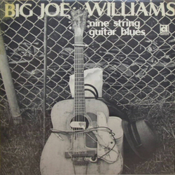 Big Joe Williams Nine String Guitar Blues Vinyl LP USED
