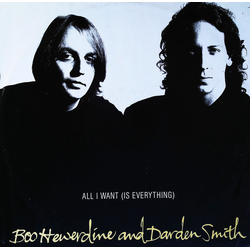 Boo Hewerdine / Darden Smith All I Want (Is Everything) Vinyl 12" USED