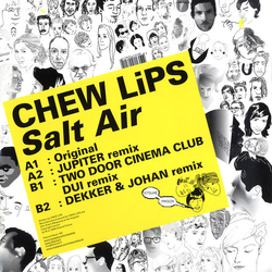 CHEW LiPS Salt Air Vinyl 12" USED