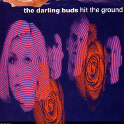 The Darling Buds Hit The Ground Vinyl 12" USED