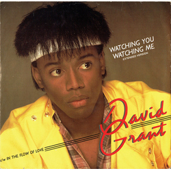 David Grant Watching You Watching Me (Extended Version) Vinyl 12" USED