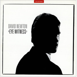 David Newton (3) Eye Witness Vinyl LP USED