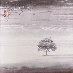 Genesis Wind & Wuthering Vinyl LP USED