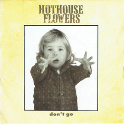Hothouse Flowers Don't Go Vinyl 7" USED