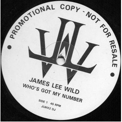James Lee Wild Who's Got My Number Vinyl 12" USED