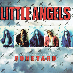 Little Angels We're All Going Down To The Boneyard Vinyl 7" USED