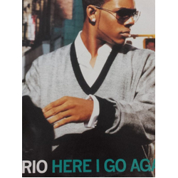 Mario Here I Go Again Vinyl 12" USED
