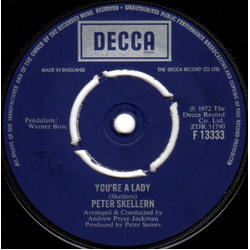 Peter Skellern You're A Lady Vinyl 7" USED
