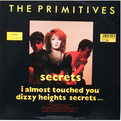 The Primitives Secrets Vinyl 12" USED