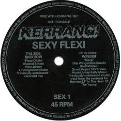 Skid Row / Winger Piece Of Me / Never Flexi-disc USED