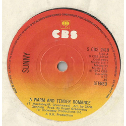 Sunny Leslie A Warm And Tender Romance Vinyl 7" USED