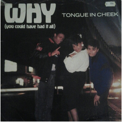 Tongue N Cheek Why (You Could Have Had It All) Vinyl 12" USED