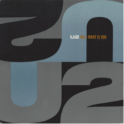 U2 All I Want Is You Vinyl 12" Box Set USED