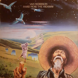 Van Morrison Hard Nose The Highway Vinyl LP USED