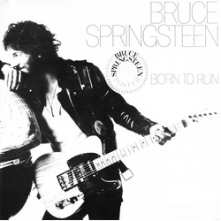 Bruce Springsteen Born To Run Vinyl LP USED