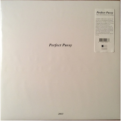 Perfect Pussy I Have Lost All Desire For Feeling Vinyl 12" USED