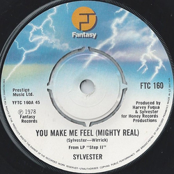 Sylvester You Make Me Feel (Mighty Real) Vinyl 7" USED