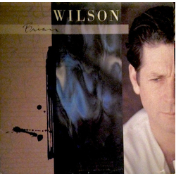 Brian Wilson Brian Wilson Vinyl LP USED