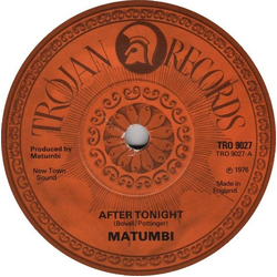 Matumbi After Tonight / The Man In Me Vinyl 7" USED
