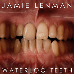 Jamie Lenman Waterloo Teeth Vinyl 7" USED