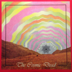 The Cosmic Dead Rainbowhead Vinyl LP USED