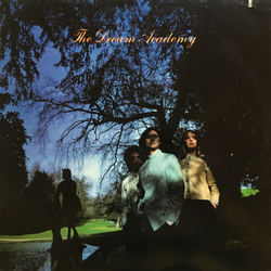 The Dream Academy The Dream Academy Vinyl LP USED