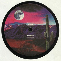 Tin Man (3) / Gary Wilson / Erik Jackson DayNight Savings 001 Vinyl 12" USED