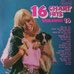 Unknown Artist 16 Chart Hits Volume 16 Vinyl LP USED