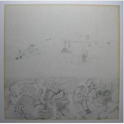 Robert Wyatt Rock Bottom Vinyl LP USED