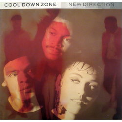 Cool Down Zone New Direction Vinyl LP USED