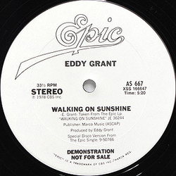 Eddy Grant Walking On Sunshine / Sunshine Jam Vinyl 12" USED