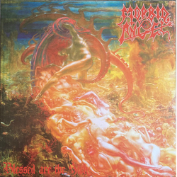 Morbid Angel Blessed Are The Sick Vinyl LP USED