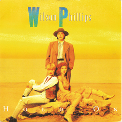 Wilson Phillips Hold On Vinyl 7" USED