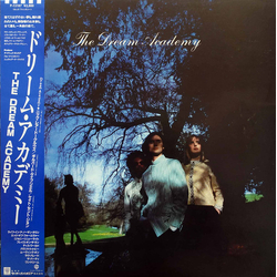 The Dream Academy The Dream Academy Vinyl LP USED