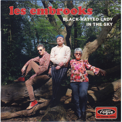 The Embrooks Black-Hatted Lady Vinyl 7" USED