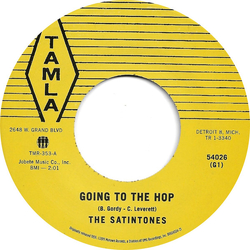 The Satintones Going To The Hop Vinyl 7" USED