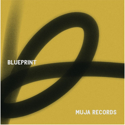 Various Blueprint Vinyl 12" USED