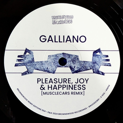 Galliano Pleasure, Joy & Happiness / Circles Going Round The Sun Vinyl 12" USED