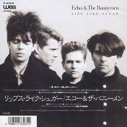 Echo & The Bunnymen Lips Like Sugar = リップス・ライク・シュガー Vinyl 7" USED